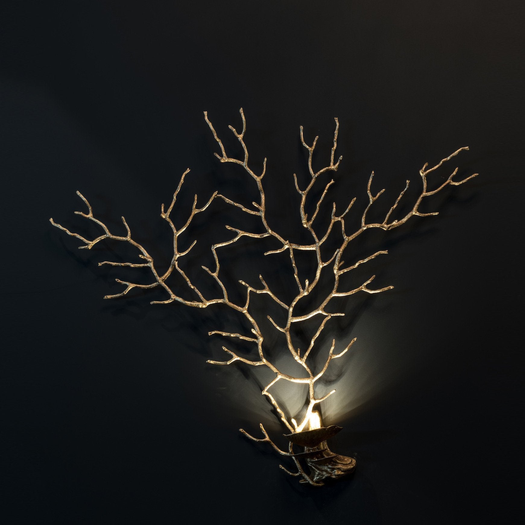 Coral Fan Wall Sculpture