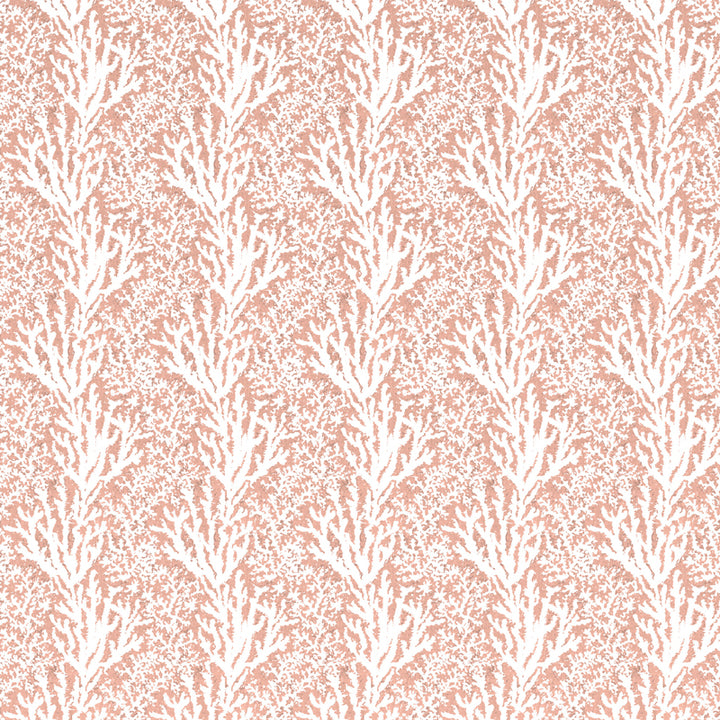 Coral Stripe - Faded Rose