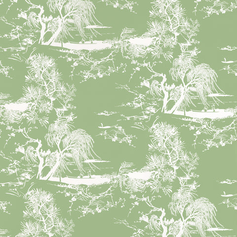 A Contre-Jour Wallcovering - Matcha