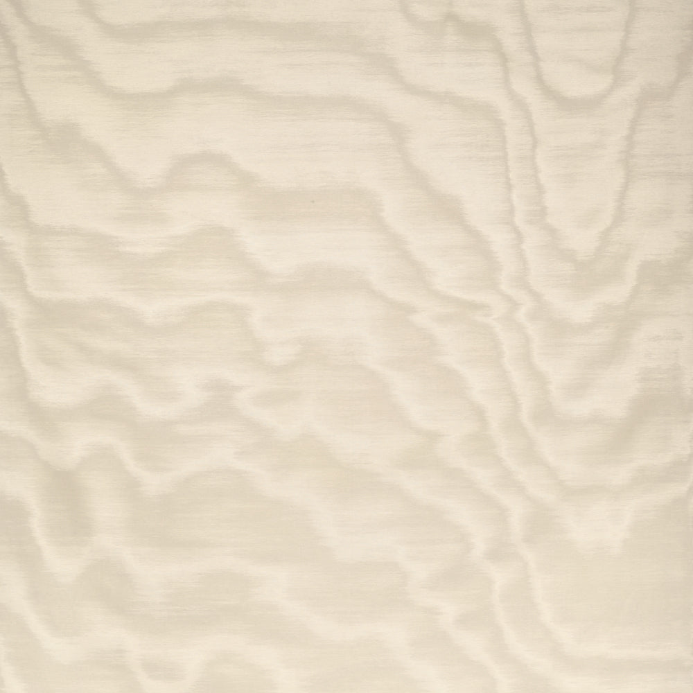 Amoir Fou Wallcovering  - Mastice