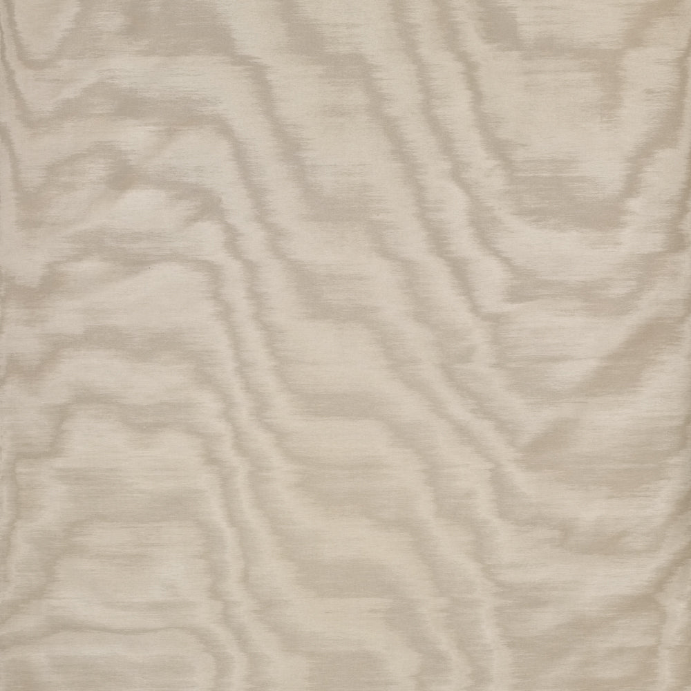 Amoir Fou Wallcovering  - Lino