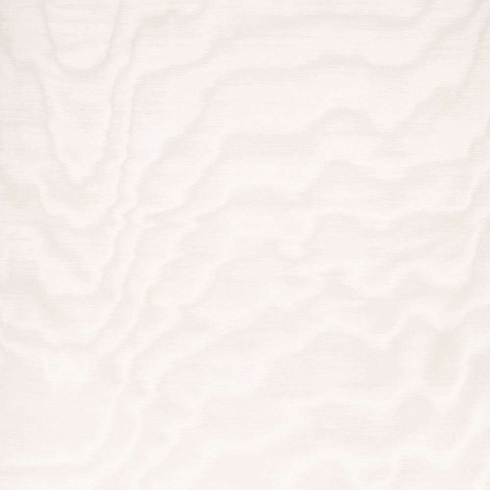 Amoir Fou Wallcovering  - White
