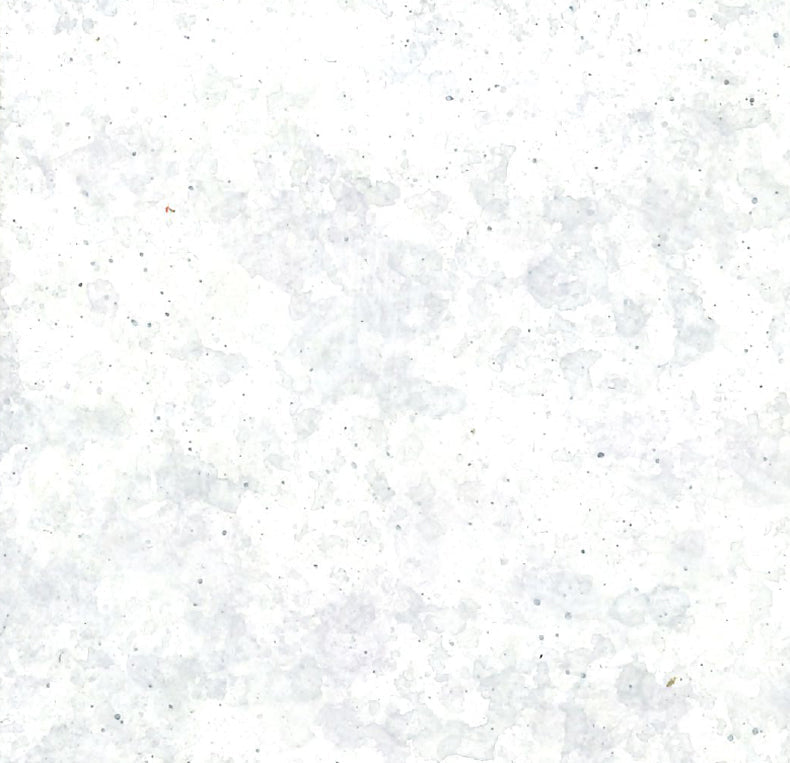 Painted Finishes - Dappled White