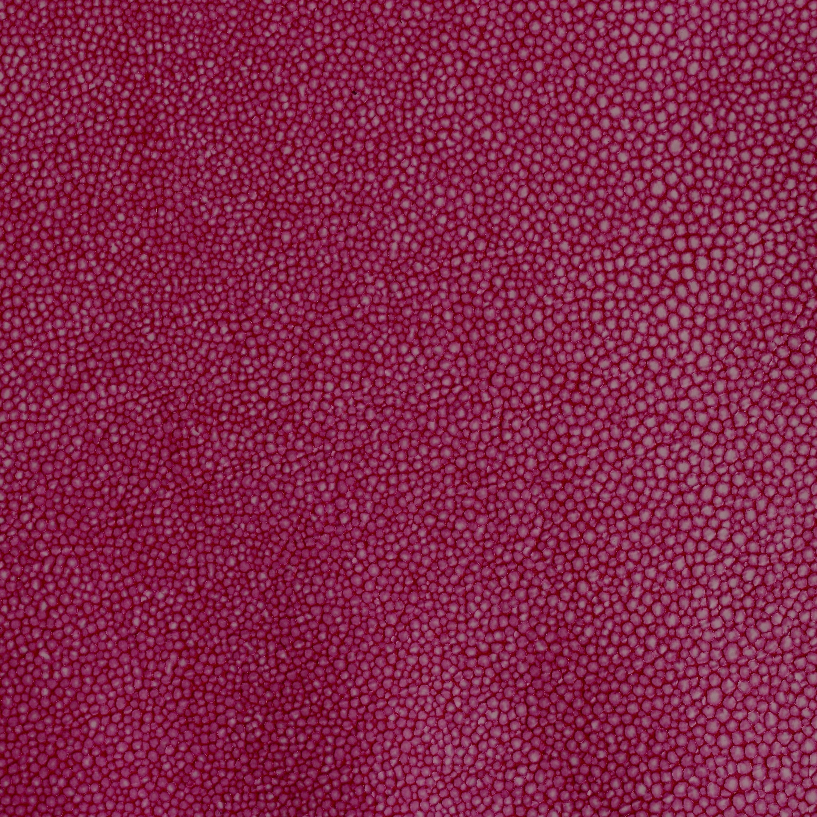 Hide Tide - Coral Reef