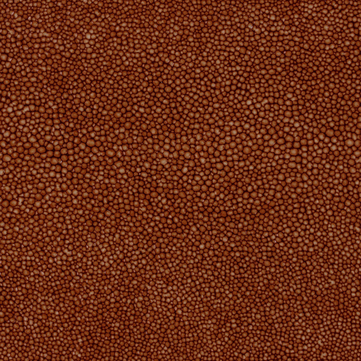 Hide Tide - Starfish