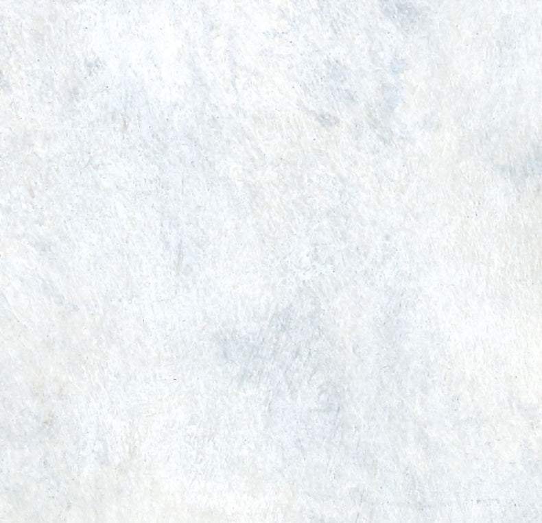 Painted Finishes - Forest White