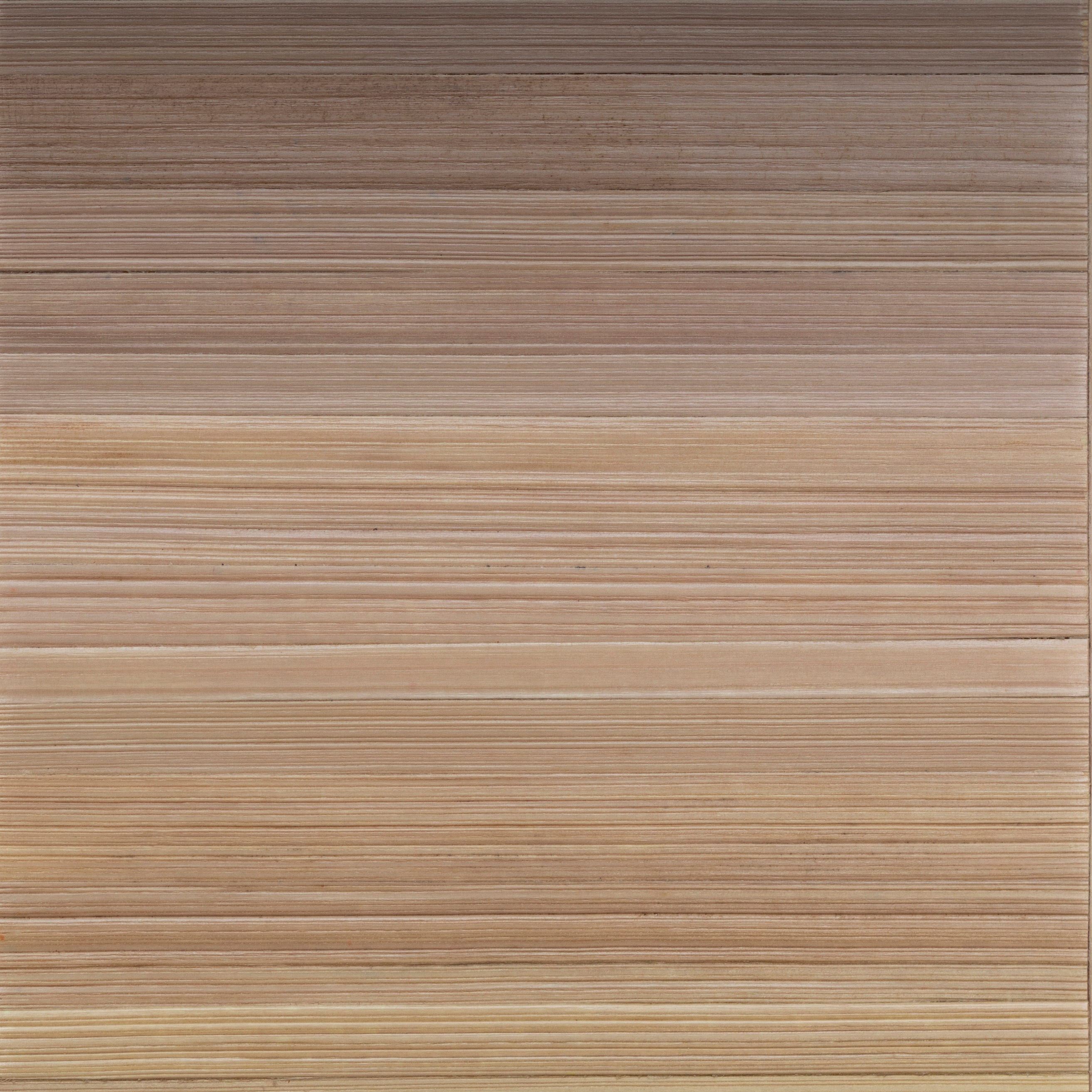 Light Natural Ombré