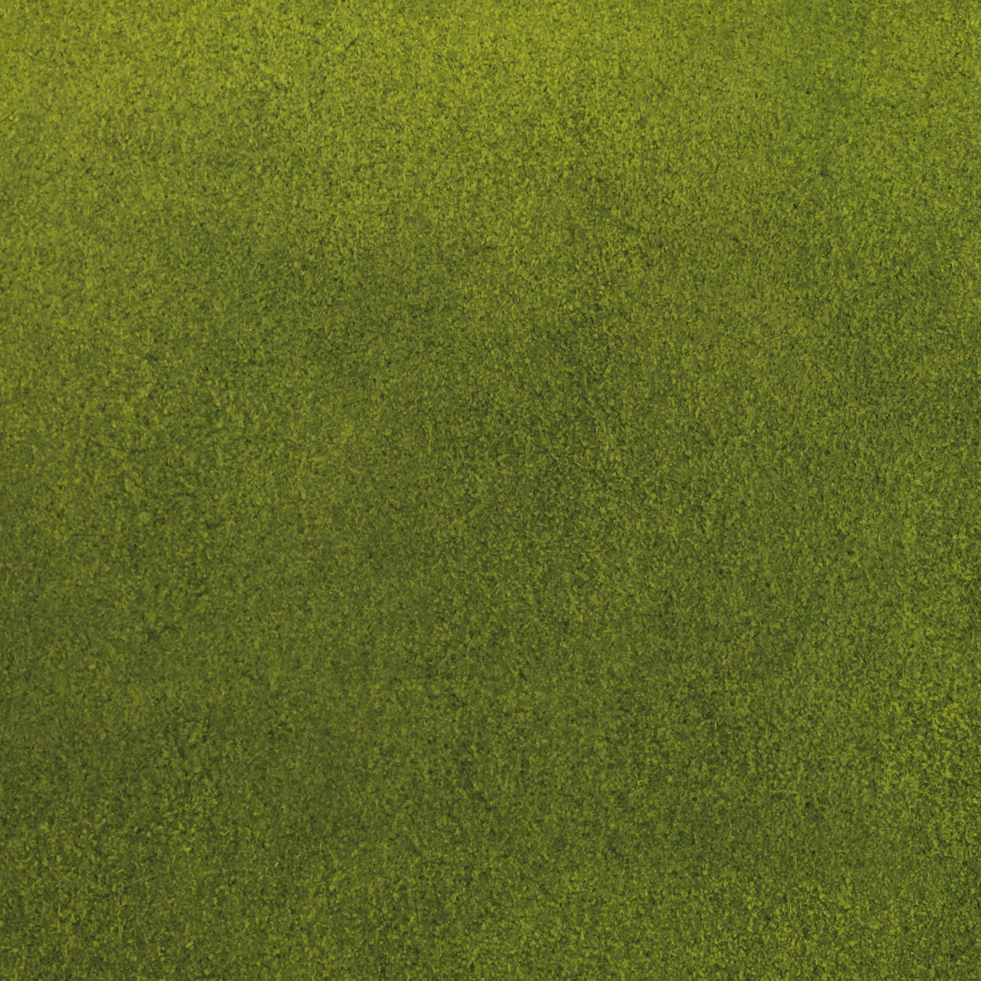 Cowlick - Grasshopper