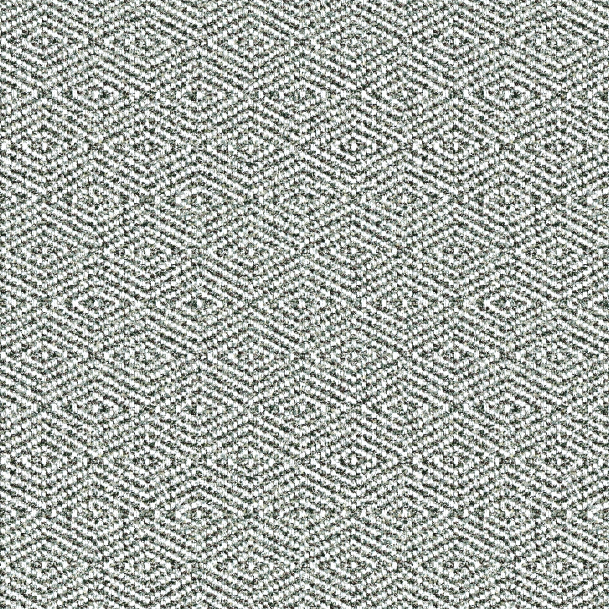 Heather - Silver Fox