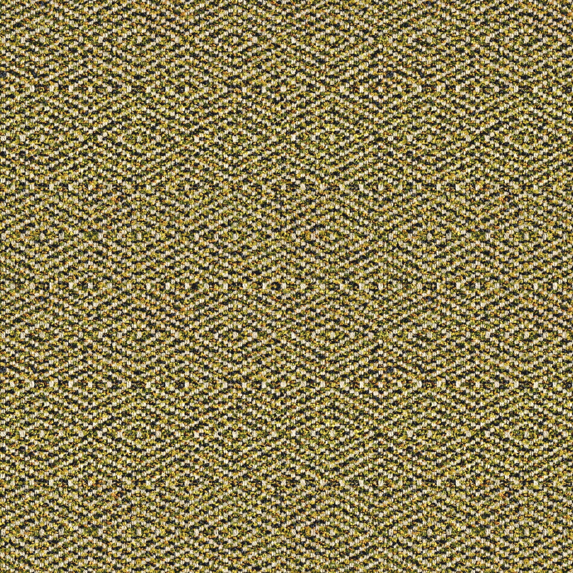 Heather - Golden Moss