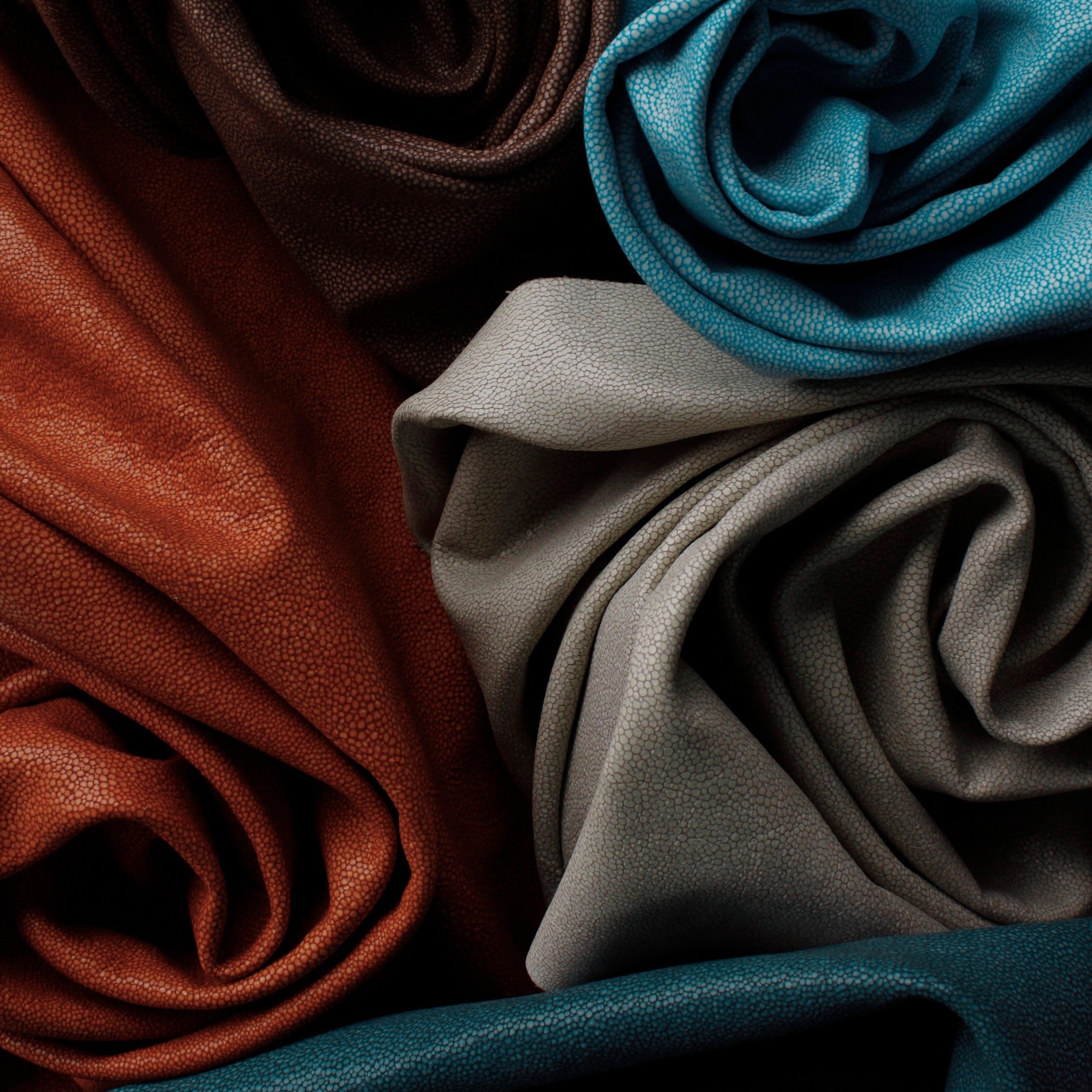 Hide Tide - Starfish