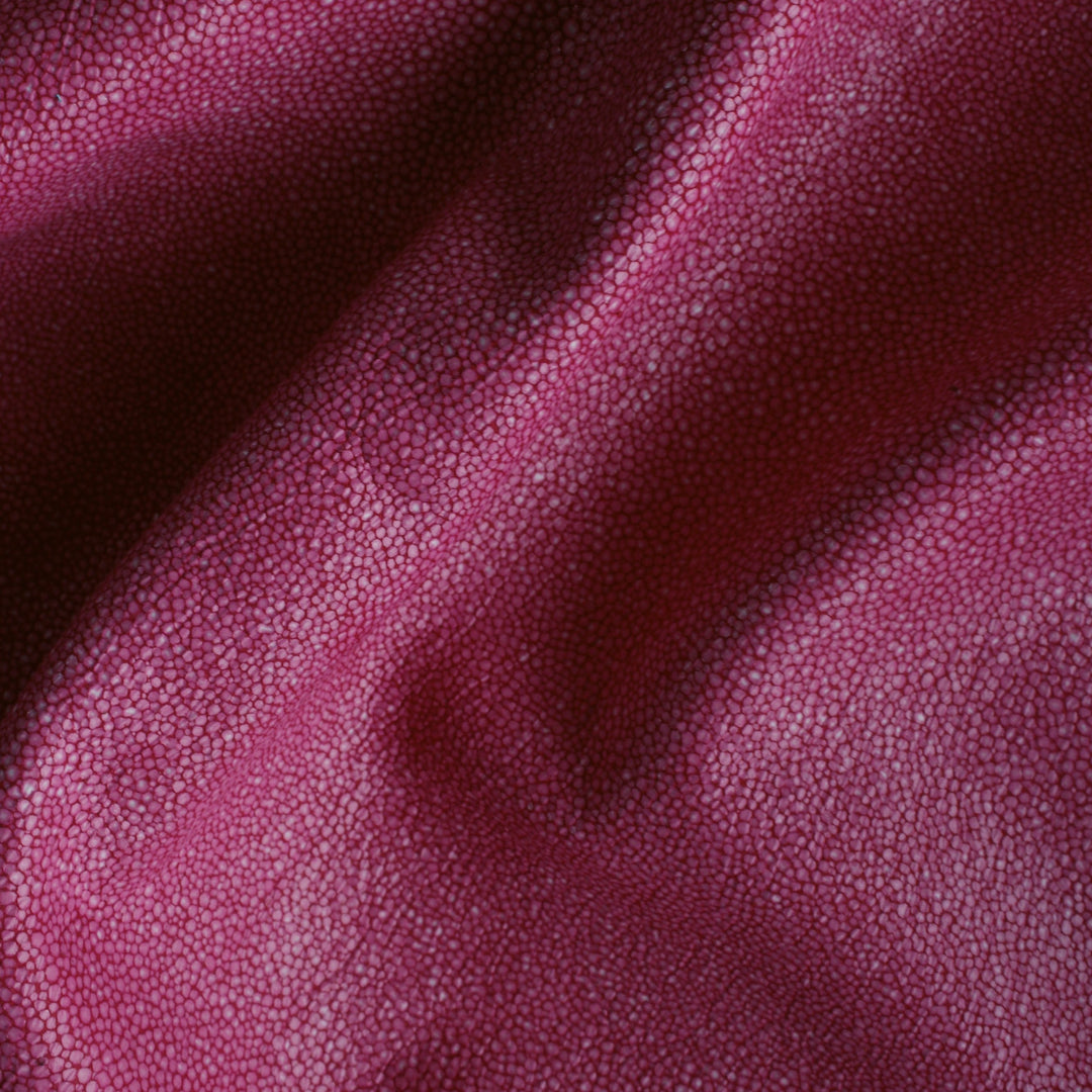 Hide Tide - Coral Reef