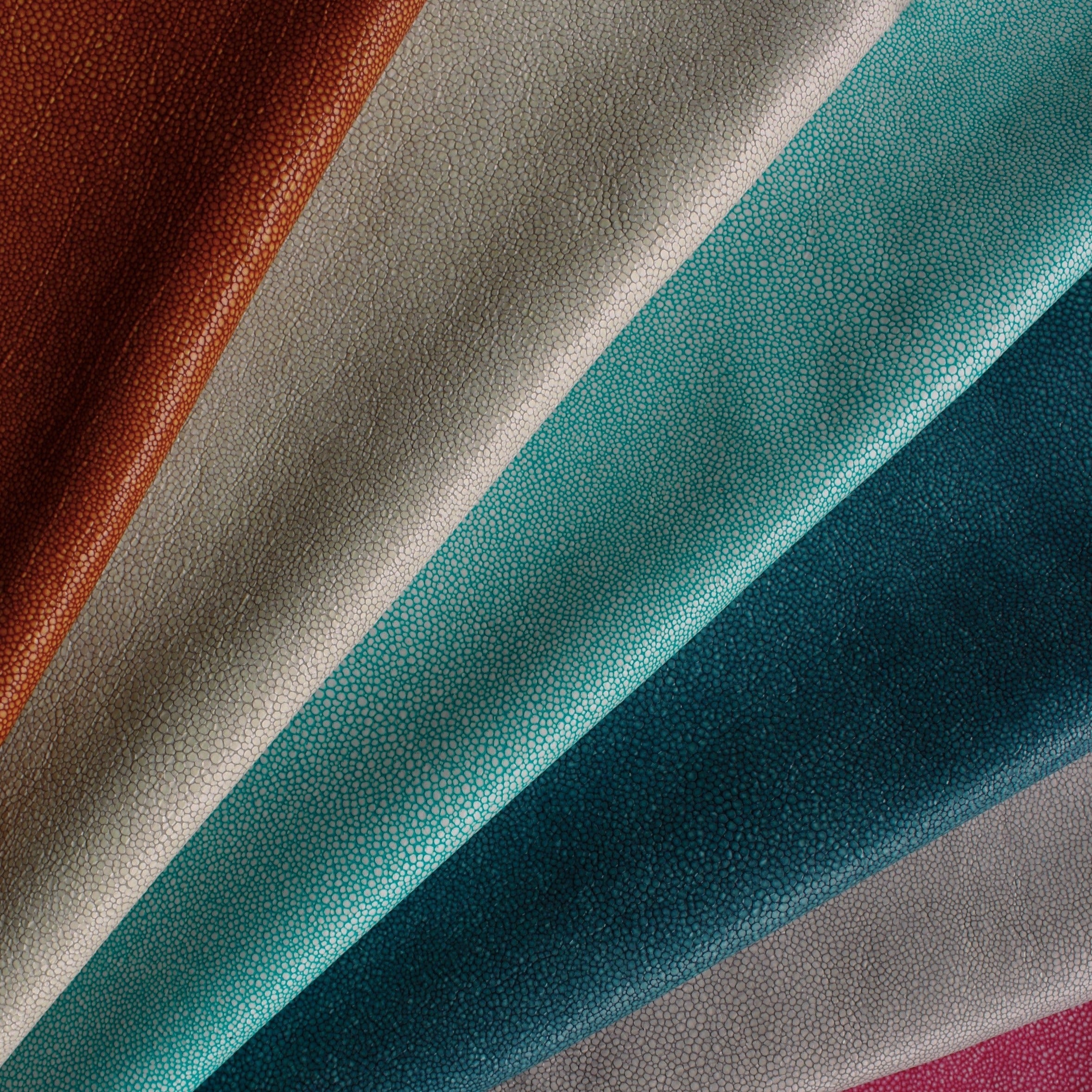 Hide Tide - Tide Pool