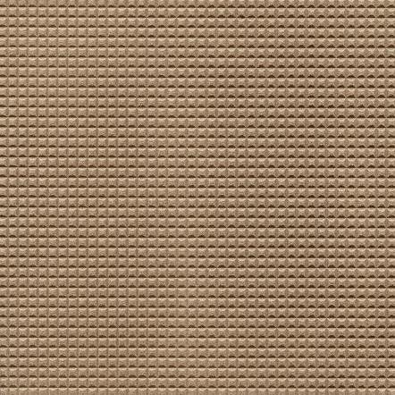 Hoof Print I - Sesame