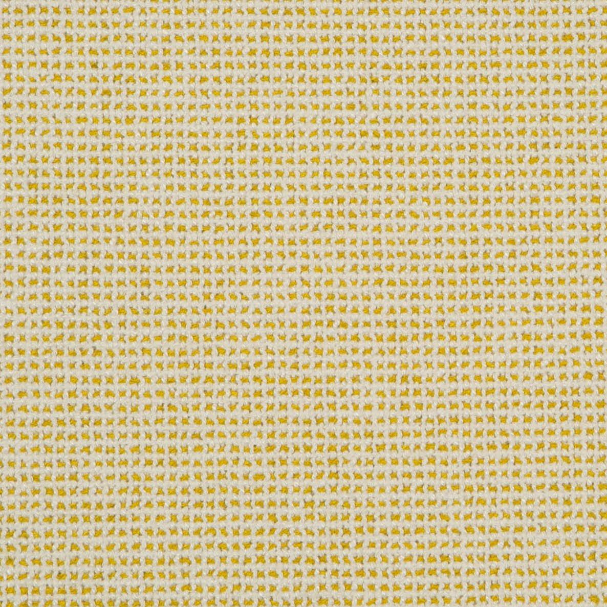 Palm Beach Grid - Citron