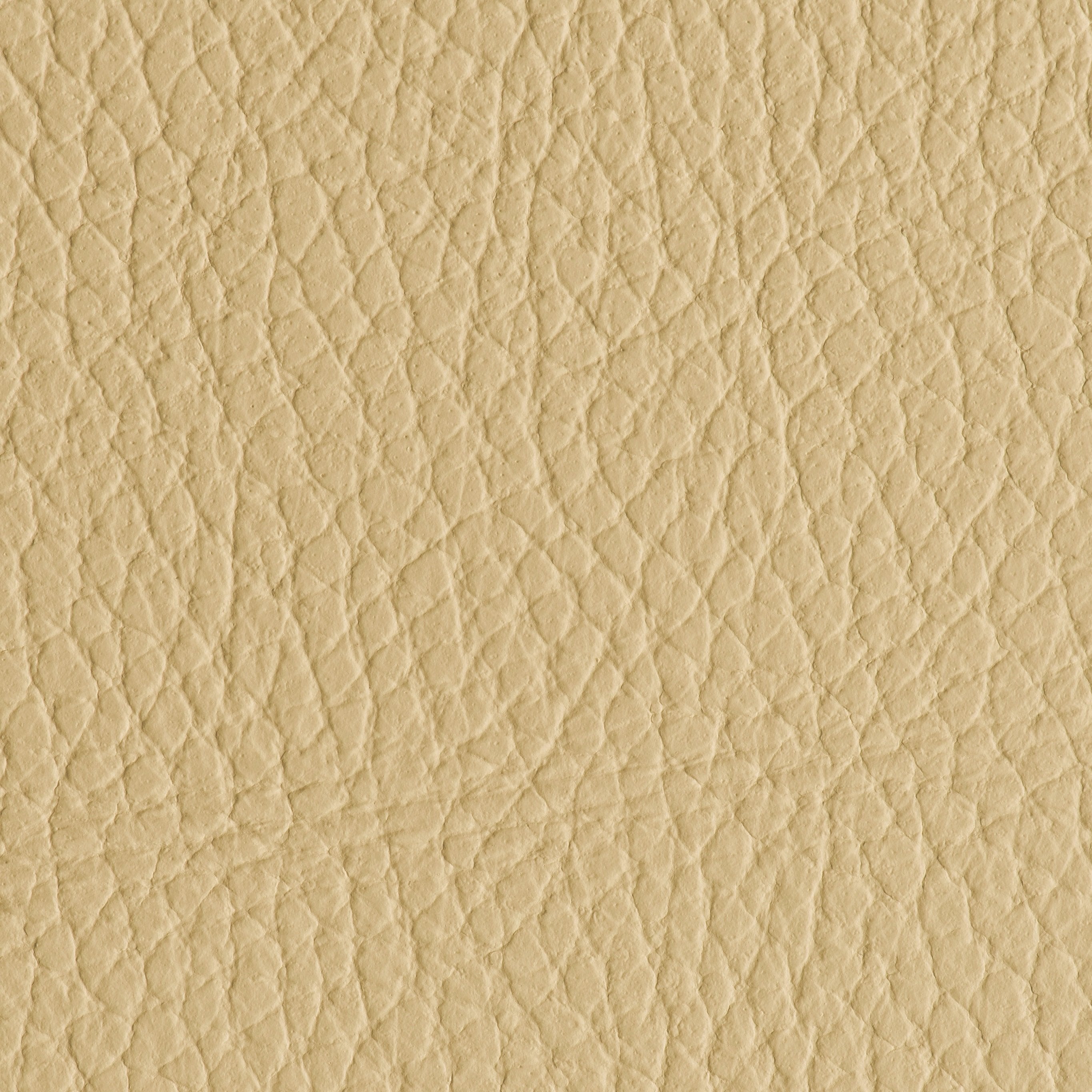 Indestructibull - Sugar Cookie