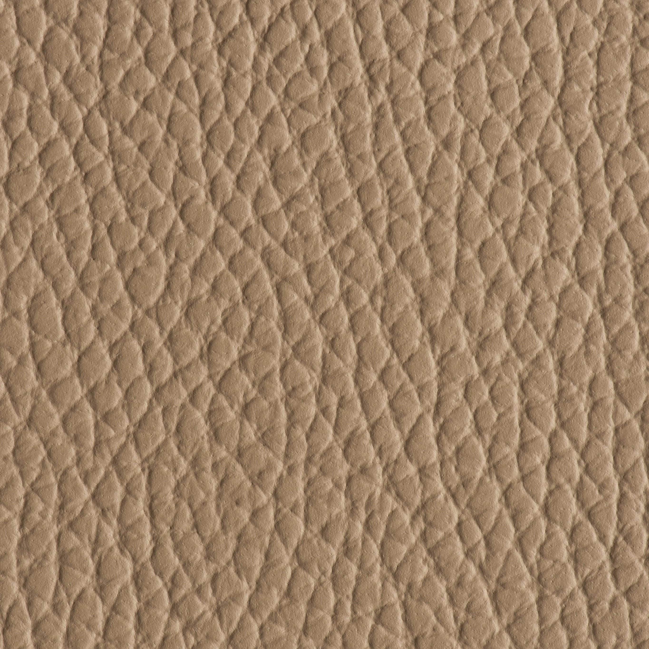 Indestructibull - Cappuccino