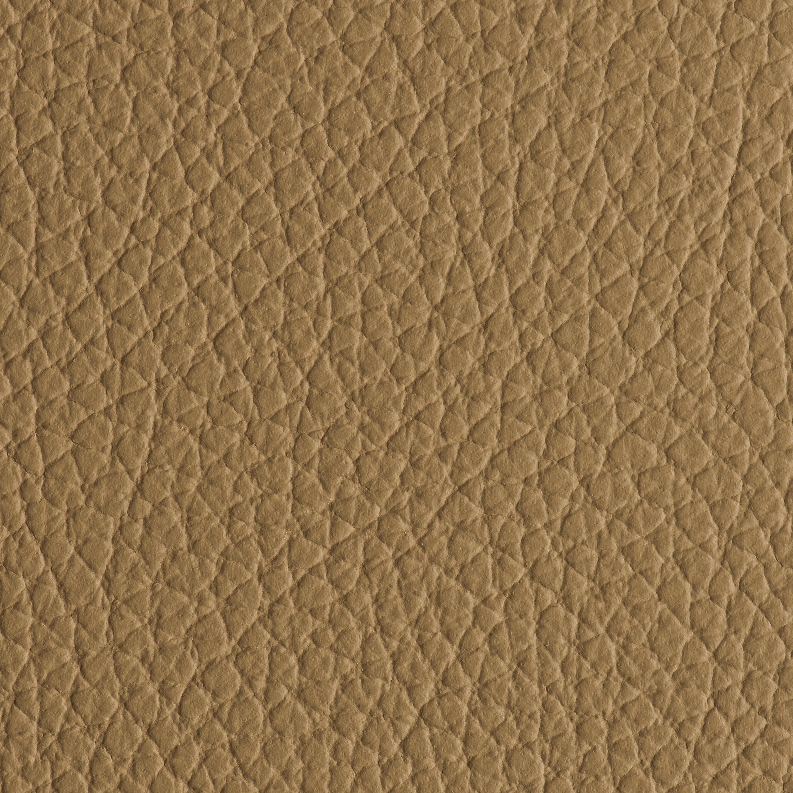 Indestructibull - Sahara