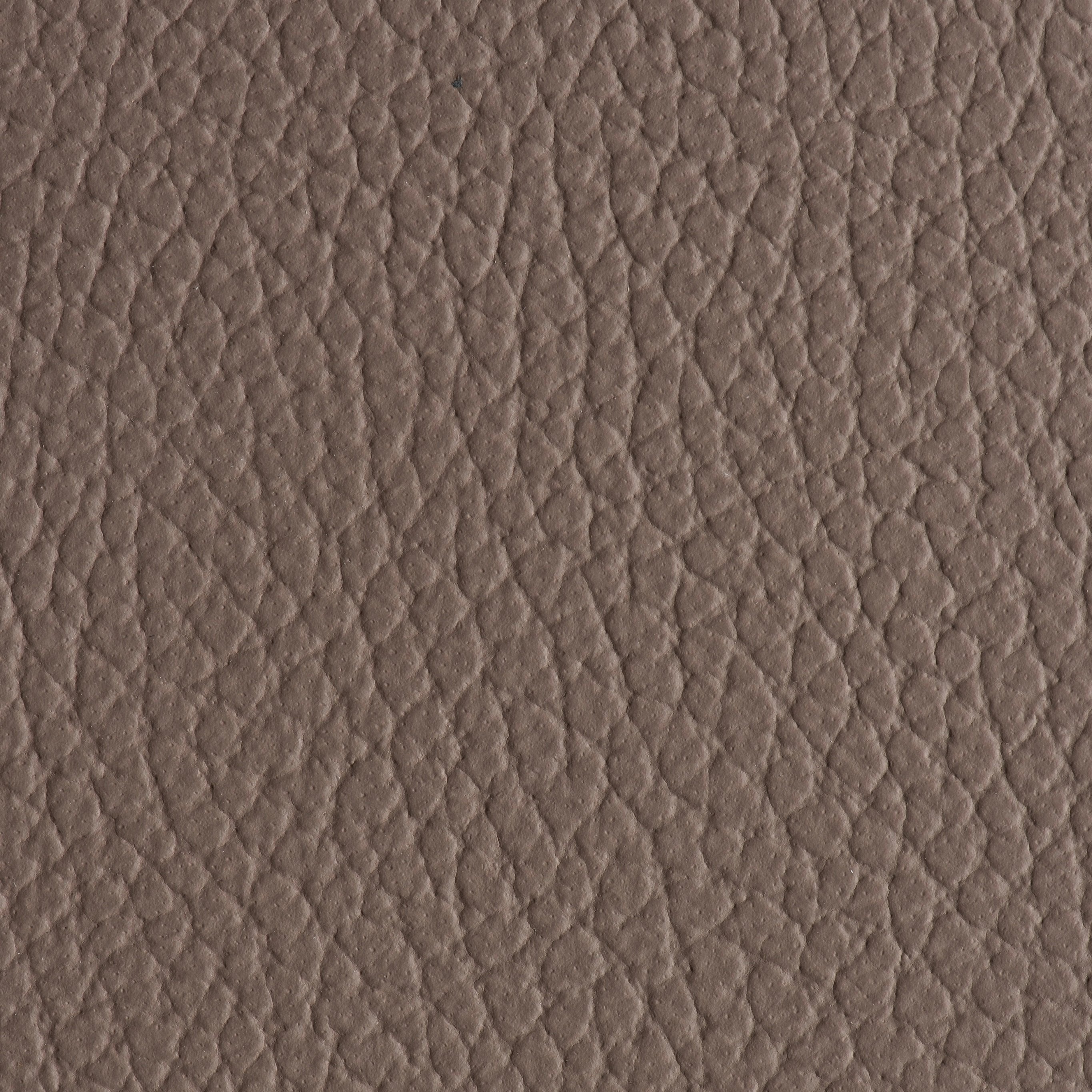 Indestructibull - Mushroom