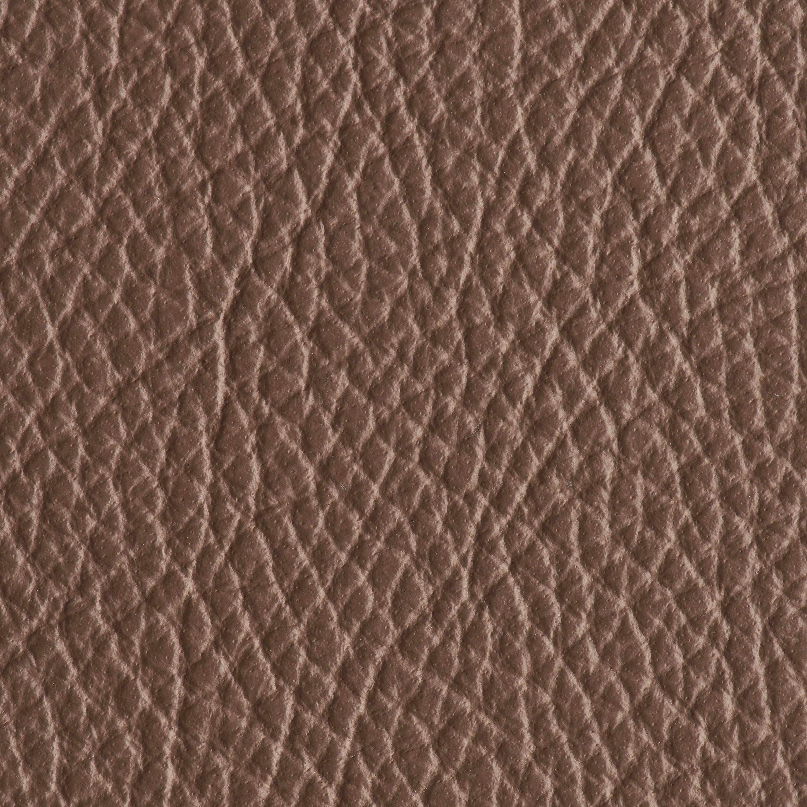 Indestructibull - River Rock