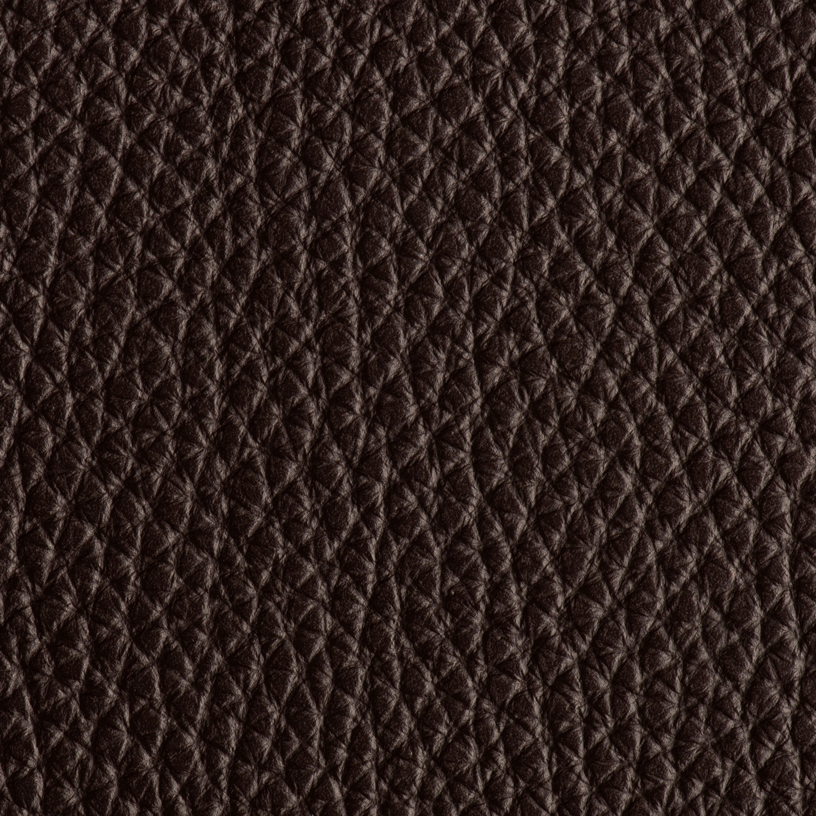 Indestructibull - Brownie