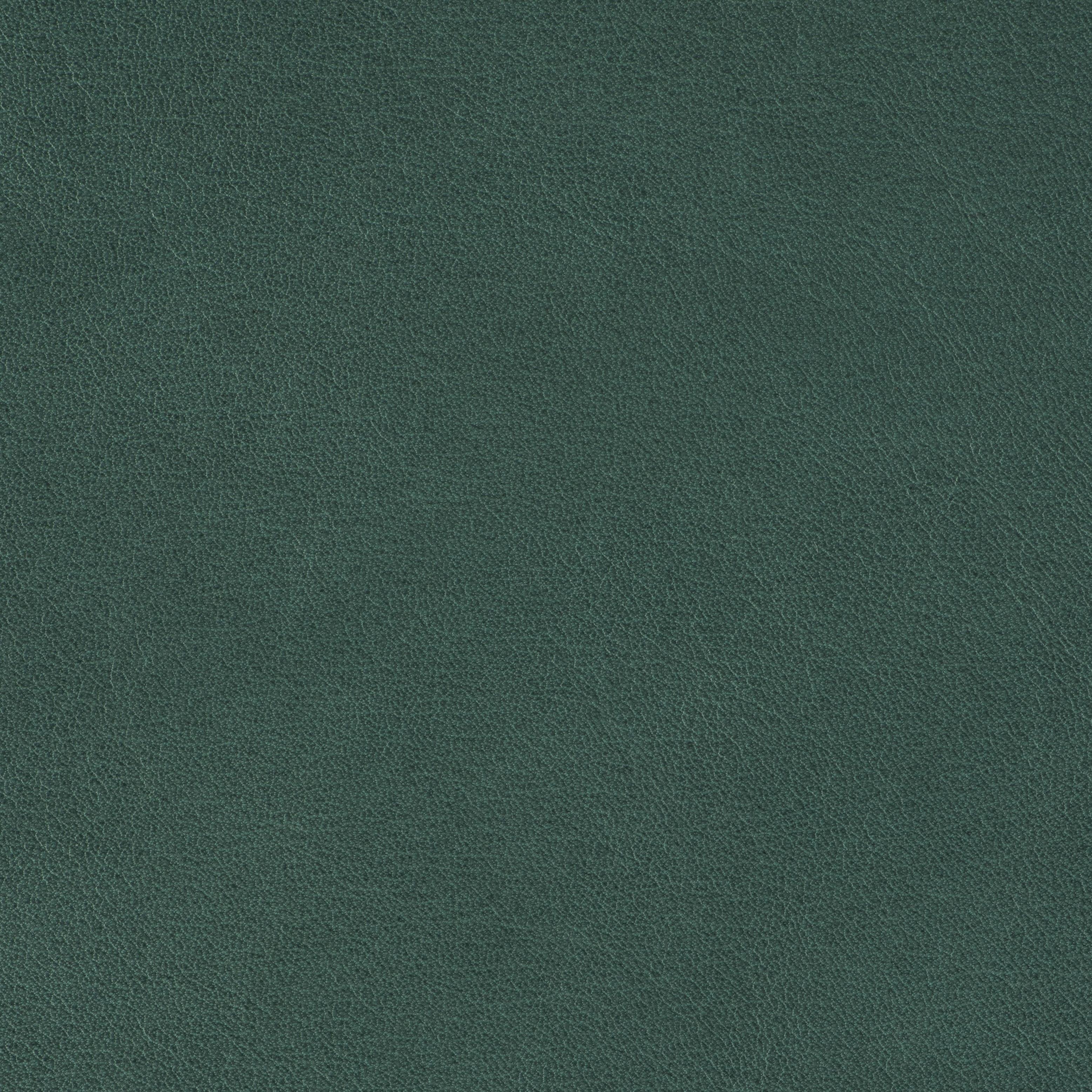 Tail Blazer - Juniper