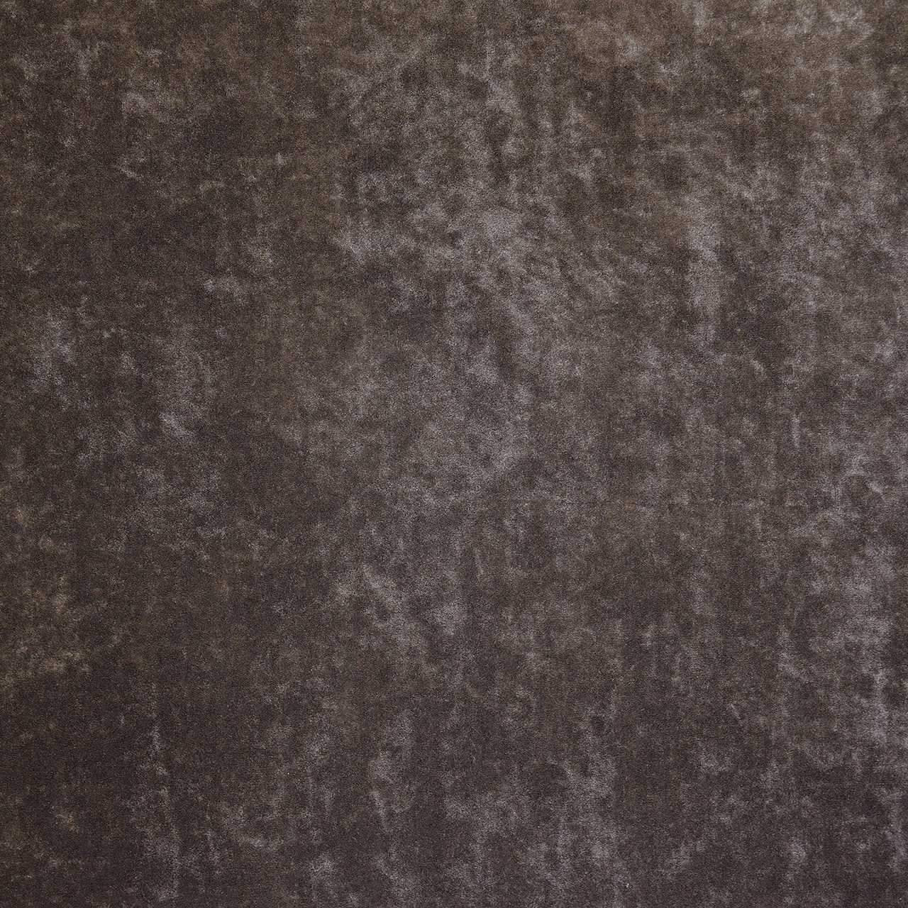 Volpino - Marrone Scuro