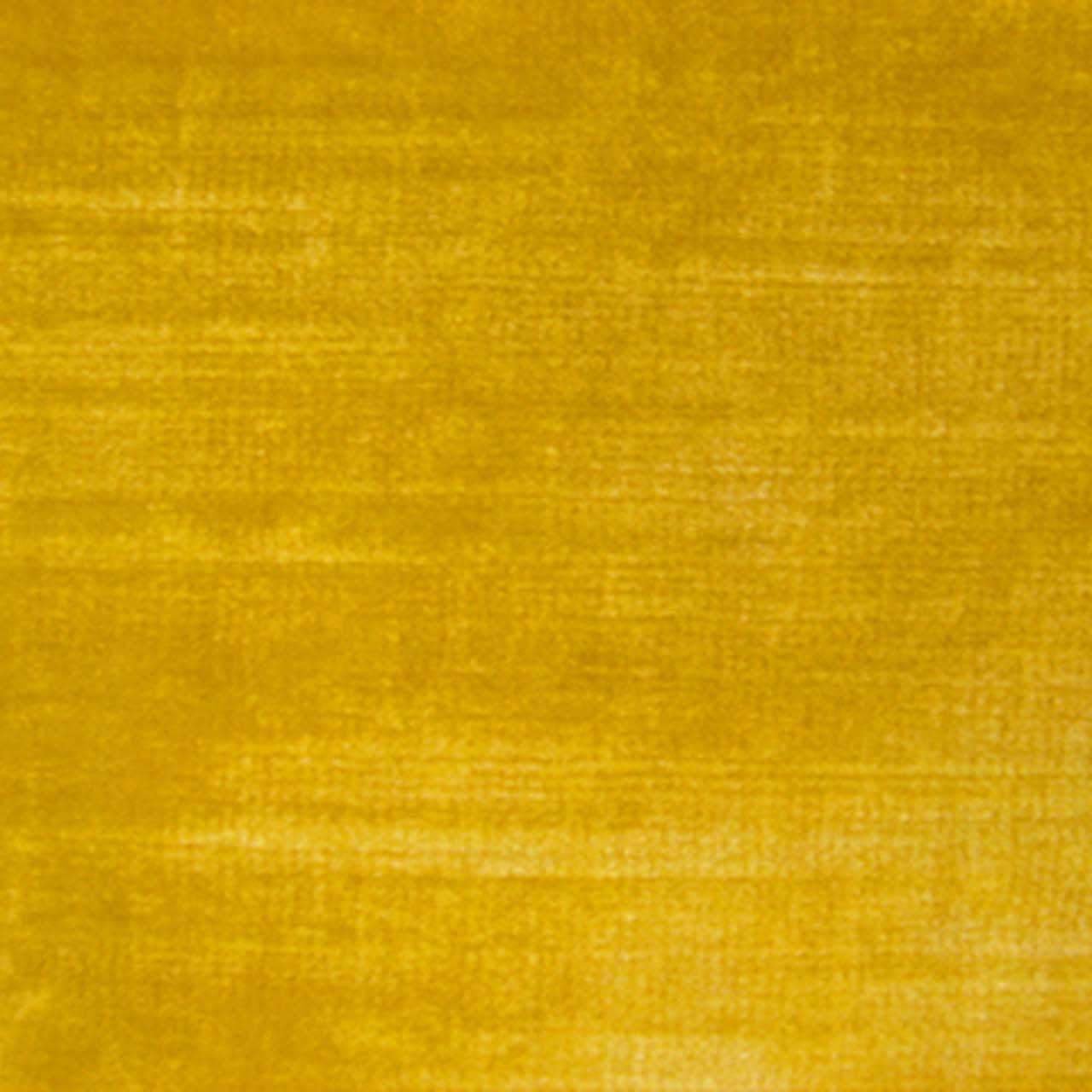 Siamese - Giallo Dalia