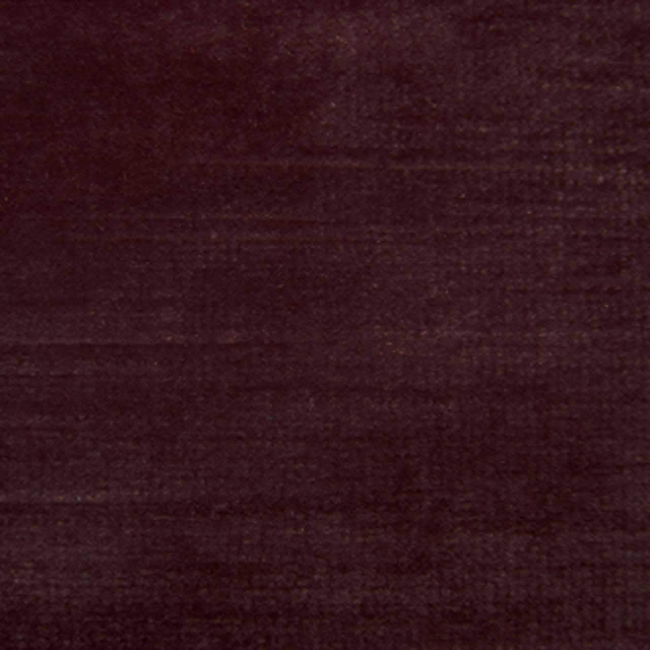 Siamese - Porpora Violetto