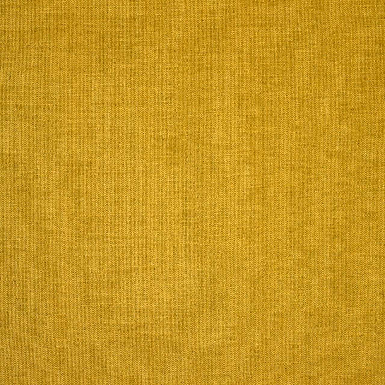 Margarita - Girasole