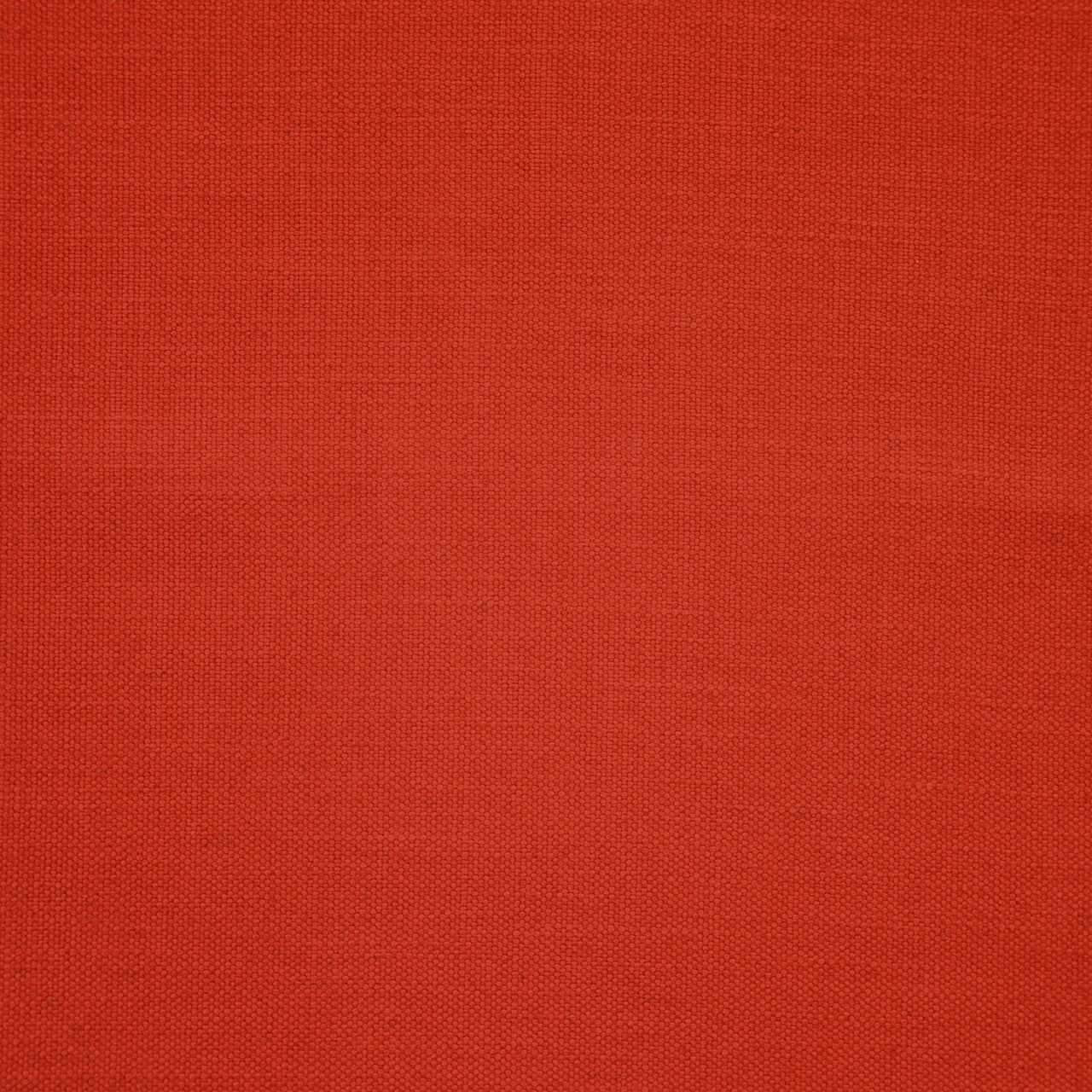 Margarita - Papavero