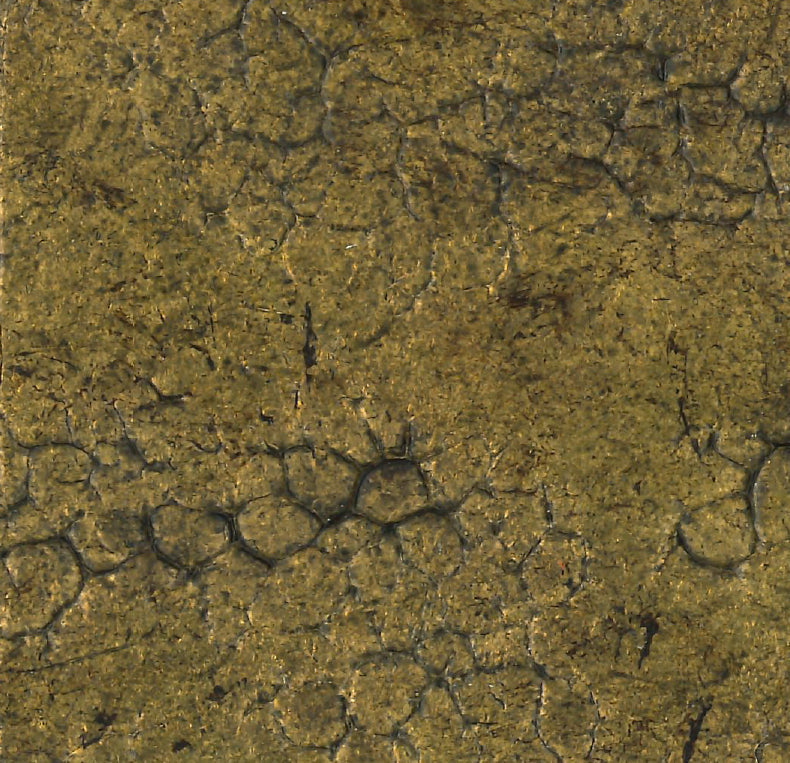 Painted Finishes - Mayan Gold