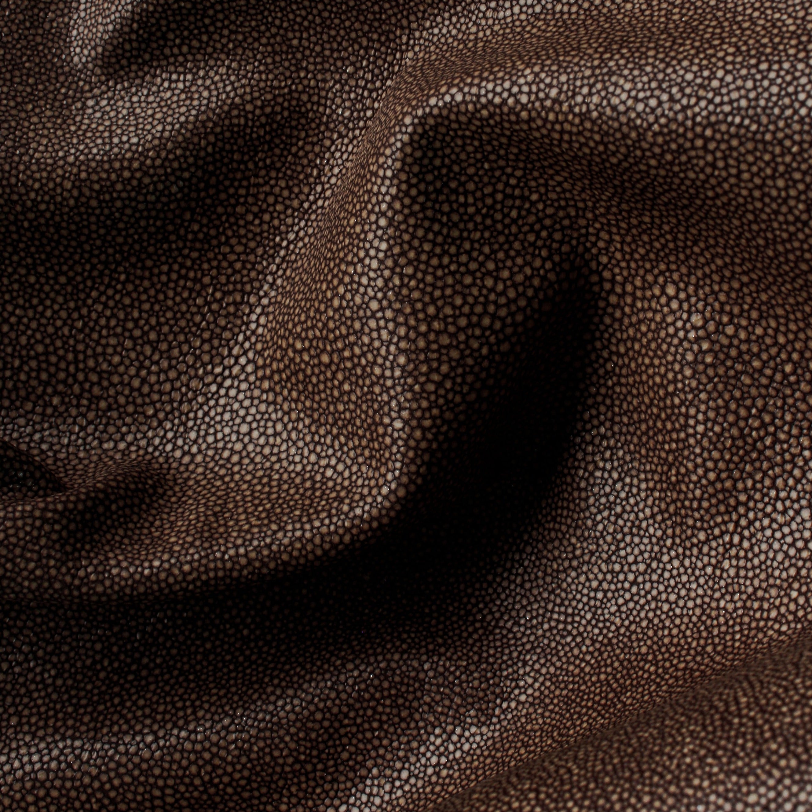 Hide Tide - Driftwood