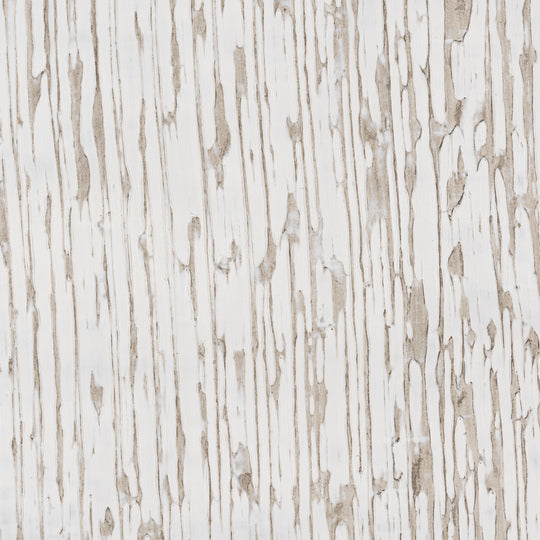 Mizu - Swiss Mountain