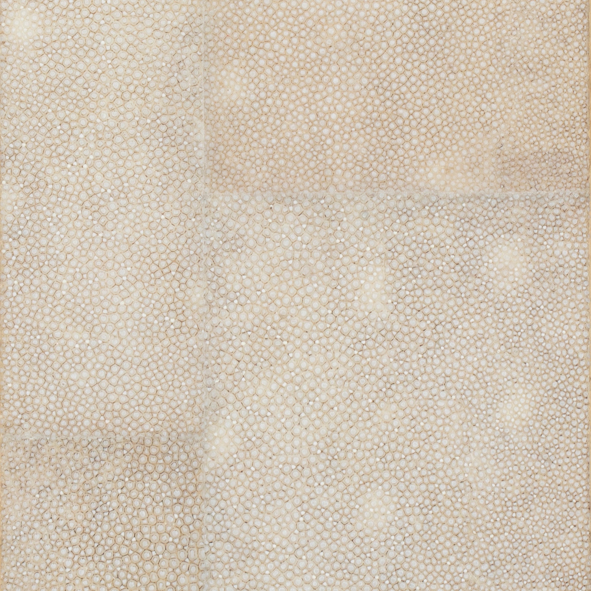 Natural Speckle Shagreen - Unpolished