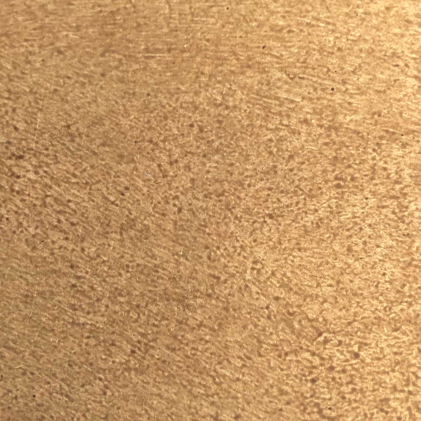 Painted Finishes - Pale Gold