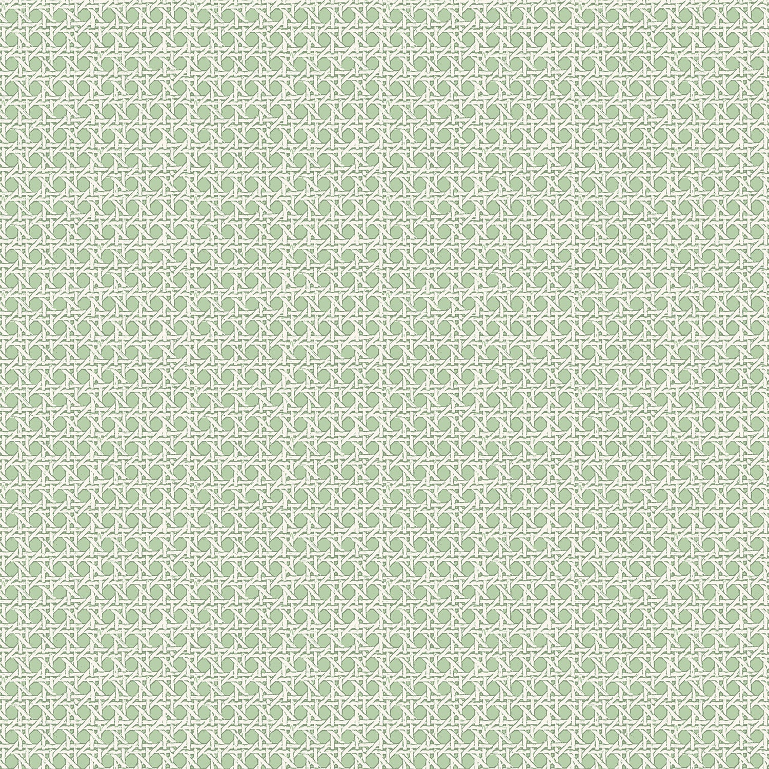 Petit Rattan Wallpaper - Jade