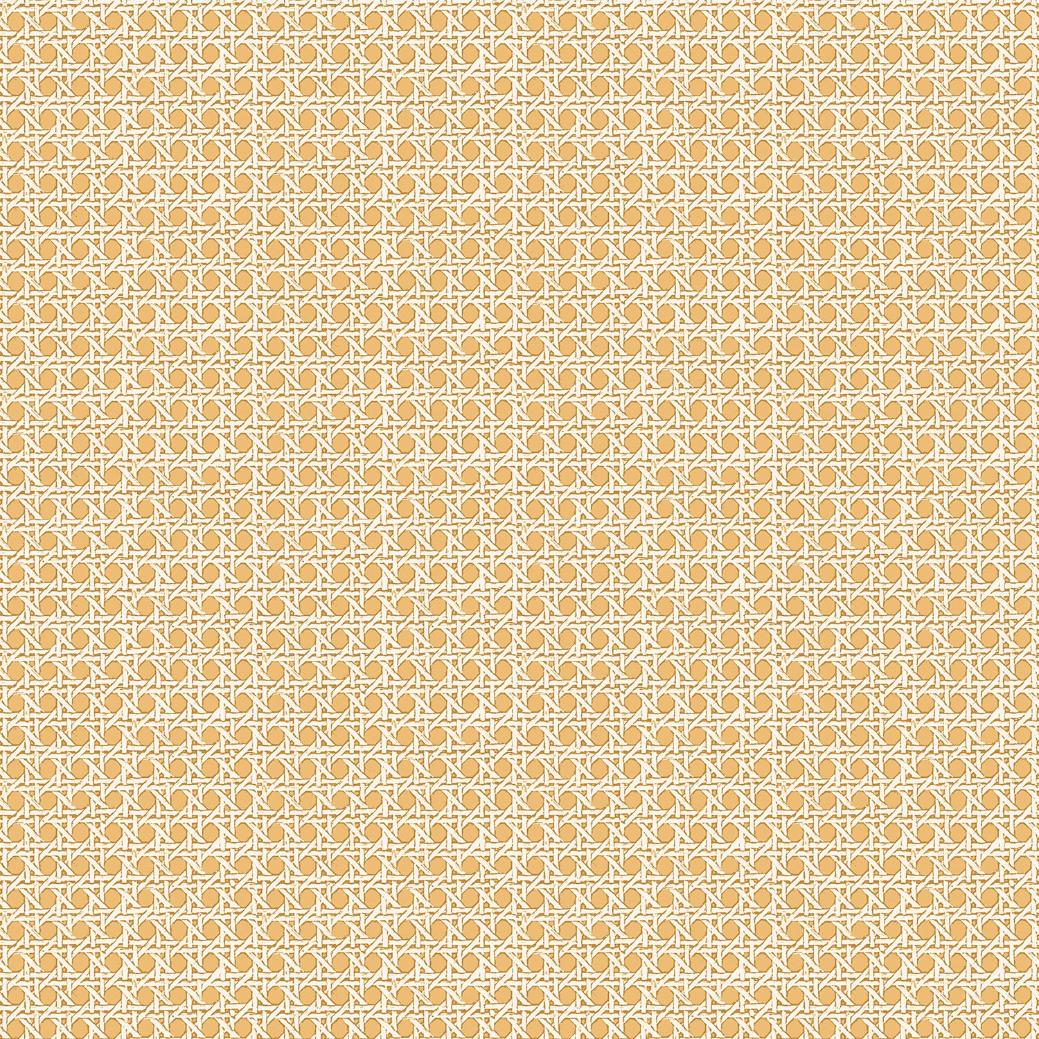 Petit Rattan Wallpaper - Butternut