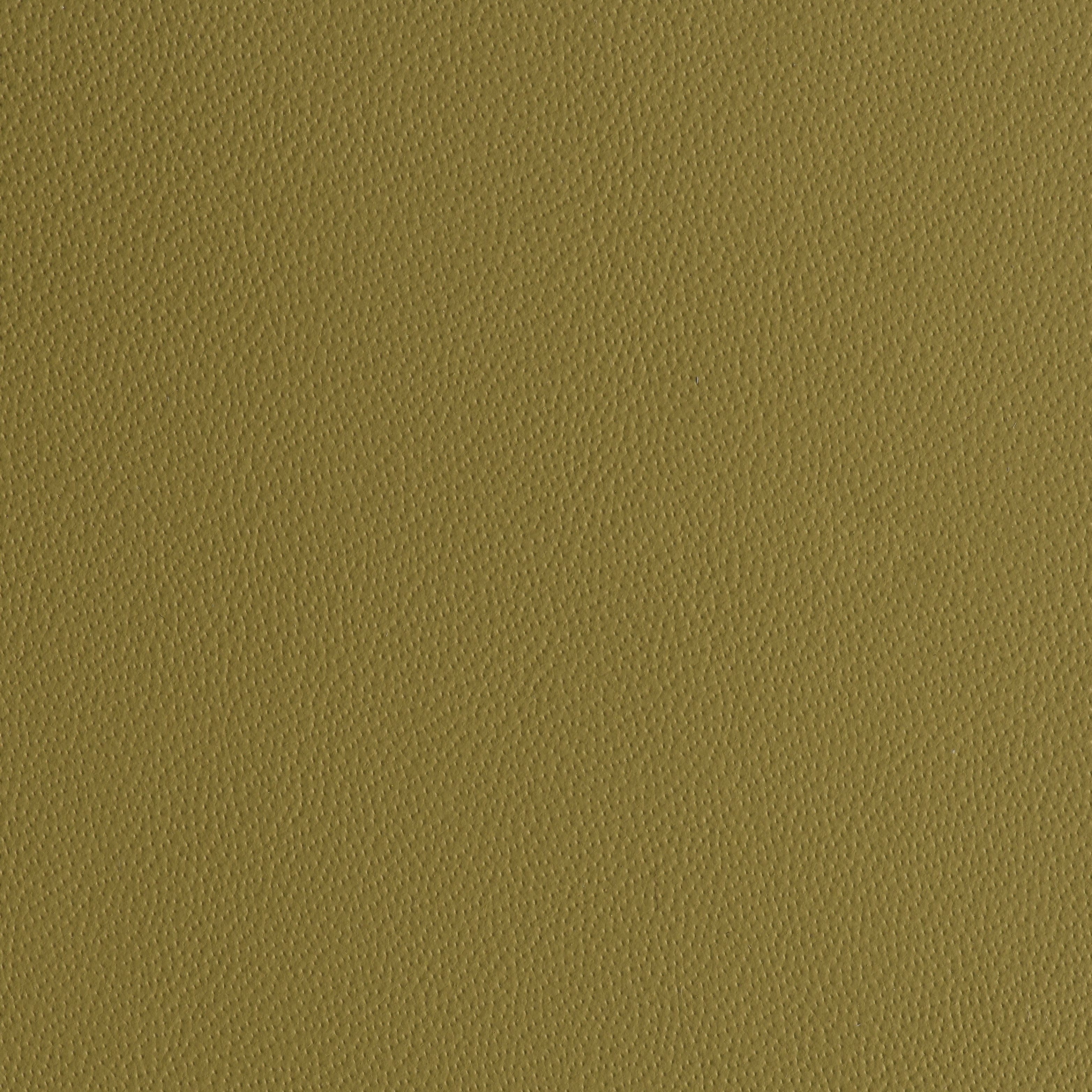 Power Steering - Audubon