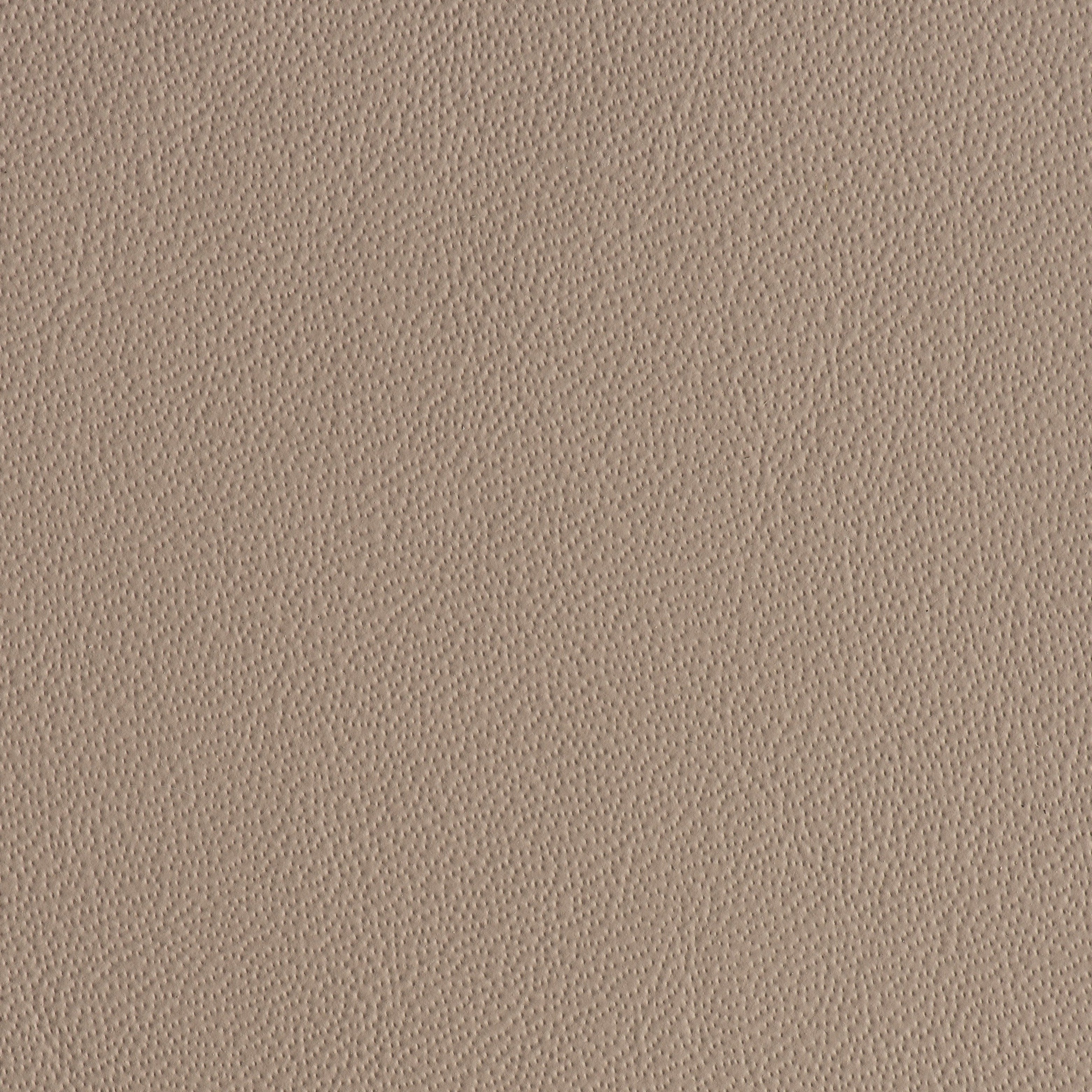 Power Steering - Rose Pedal