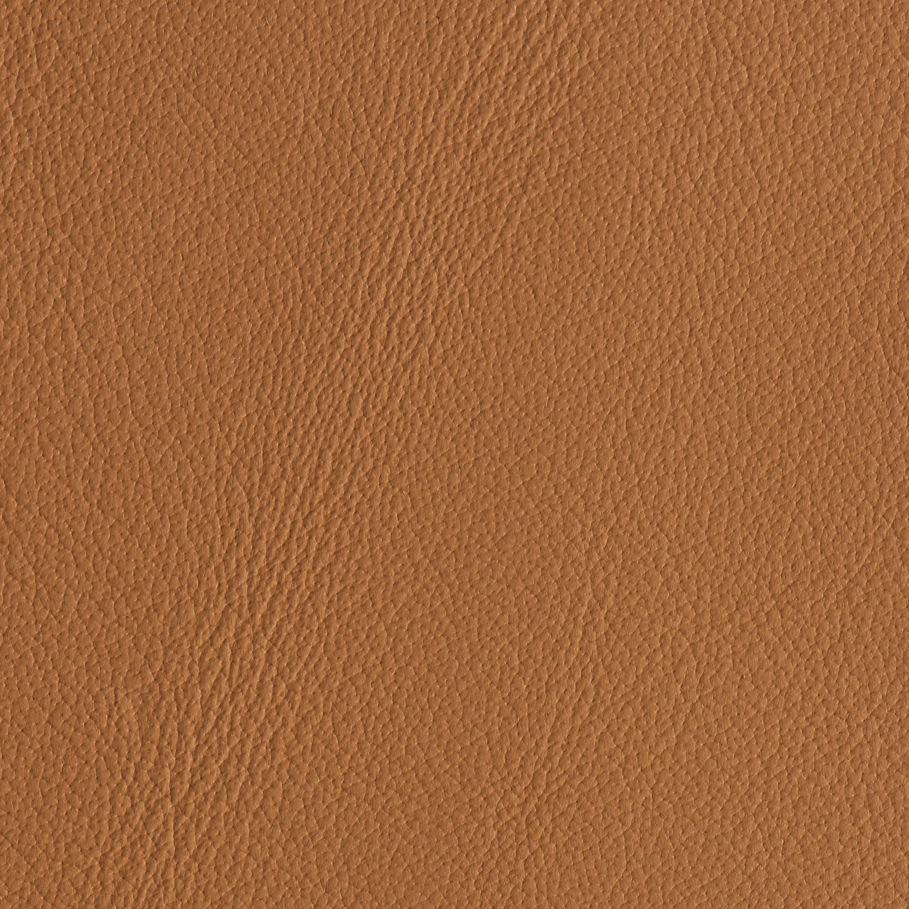 Power Steering - El Camino