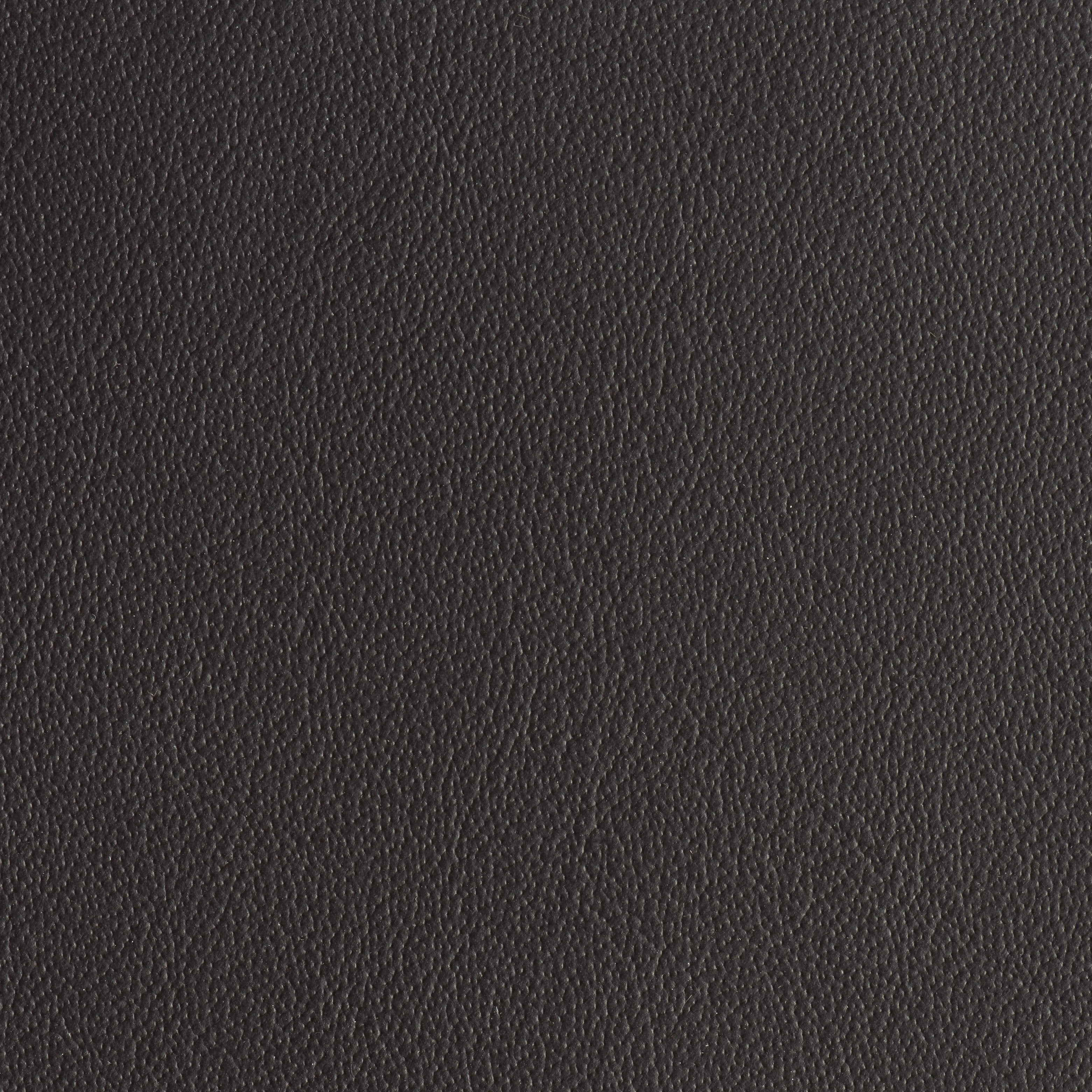 Power Steering - Exhaust