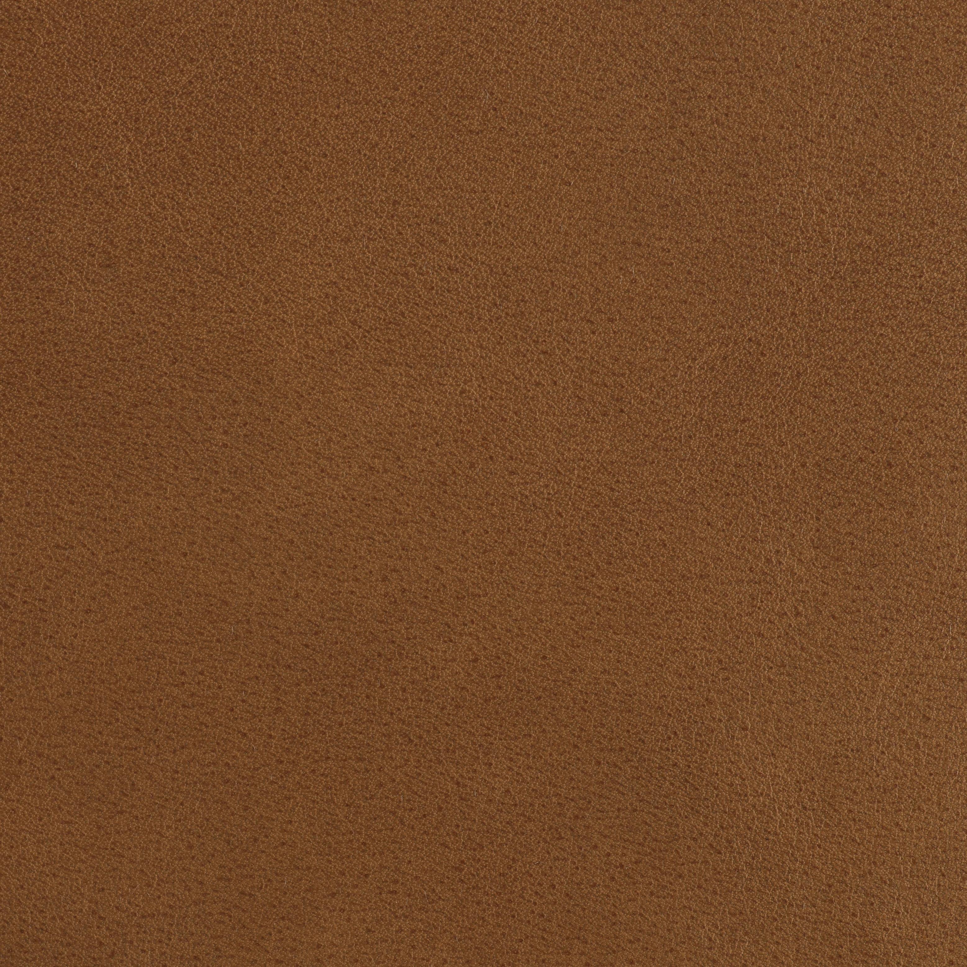 Tail Blazer - Prairie