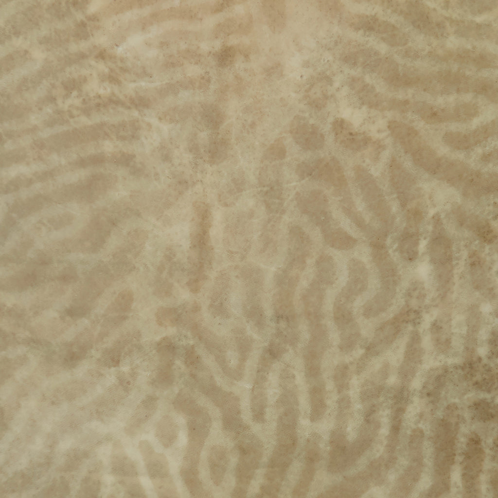 Reef Coral - Parchment