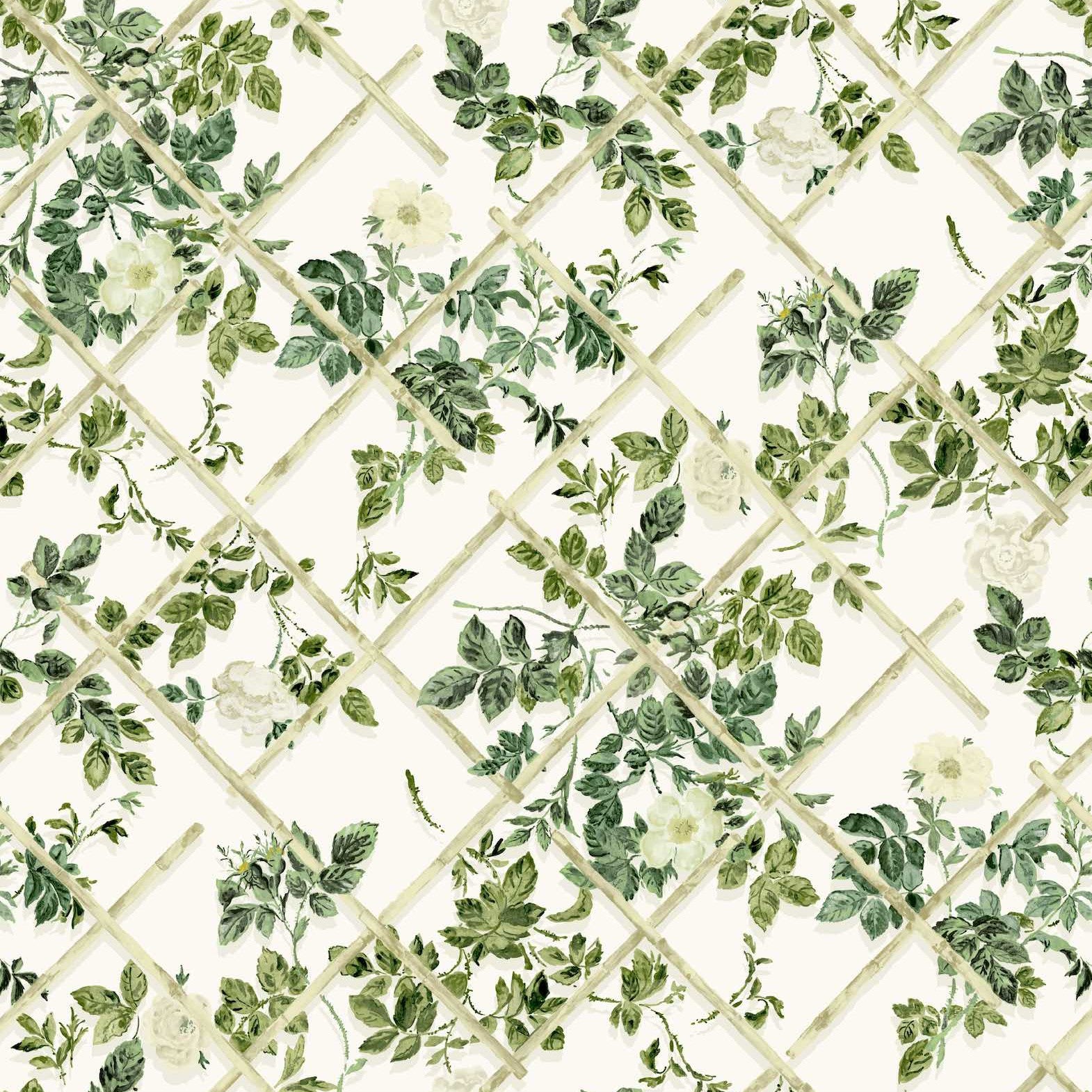 Rose Trellis Wallpaper 03 Vedure