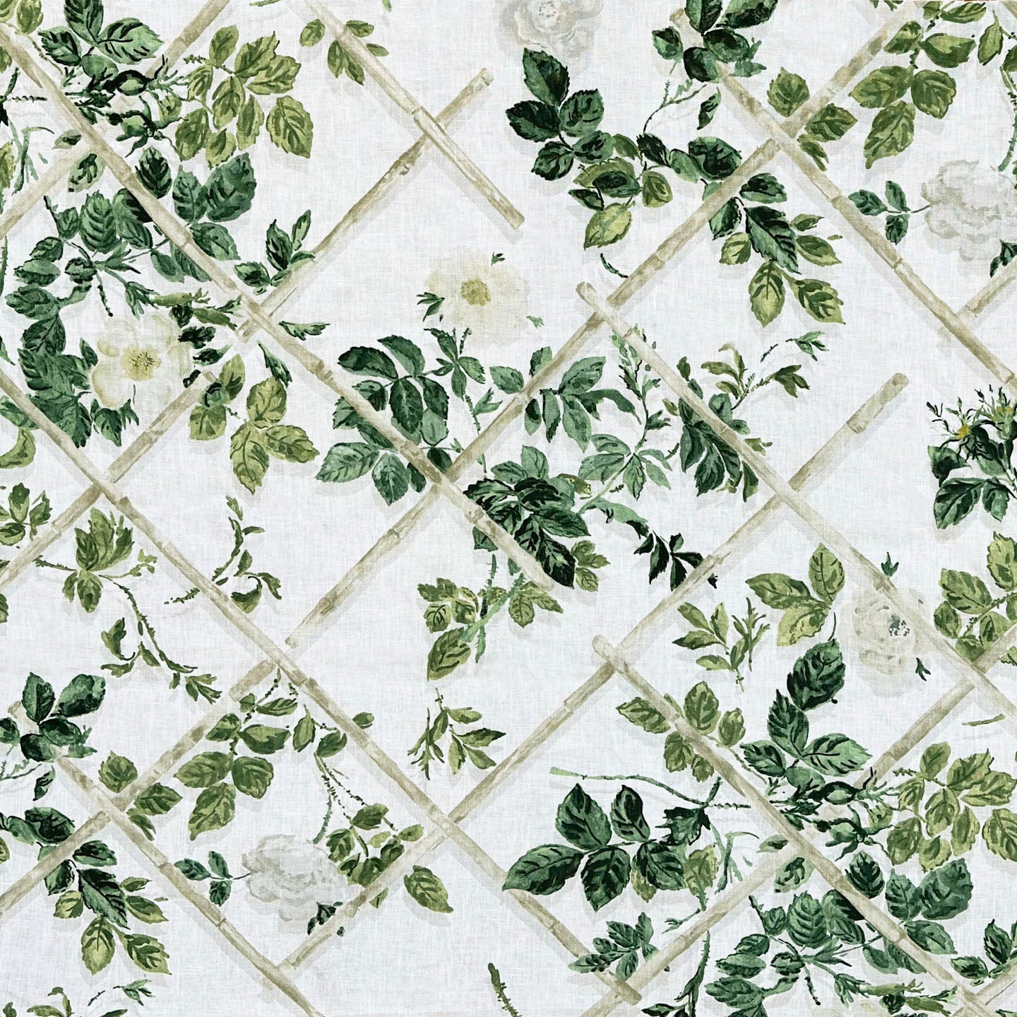 Rose Trellis - Verdure
