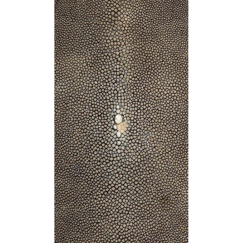 Shagreen - Souris