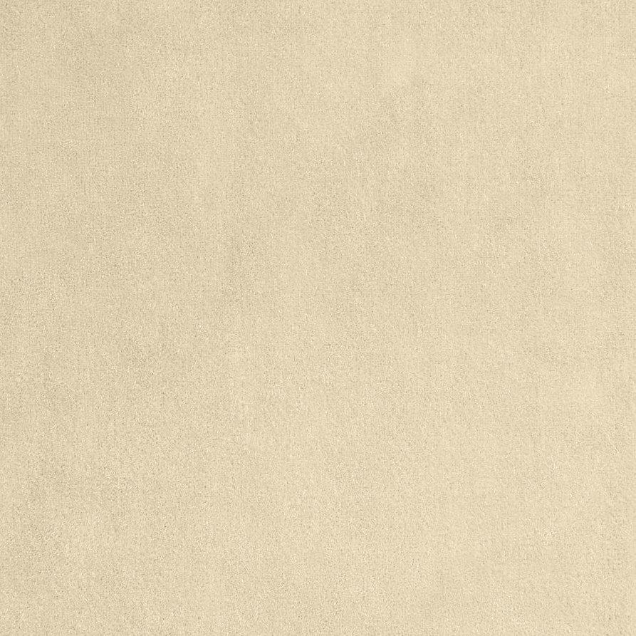 Vladimiro - Orso Polare