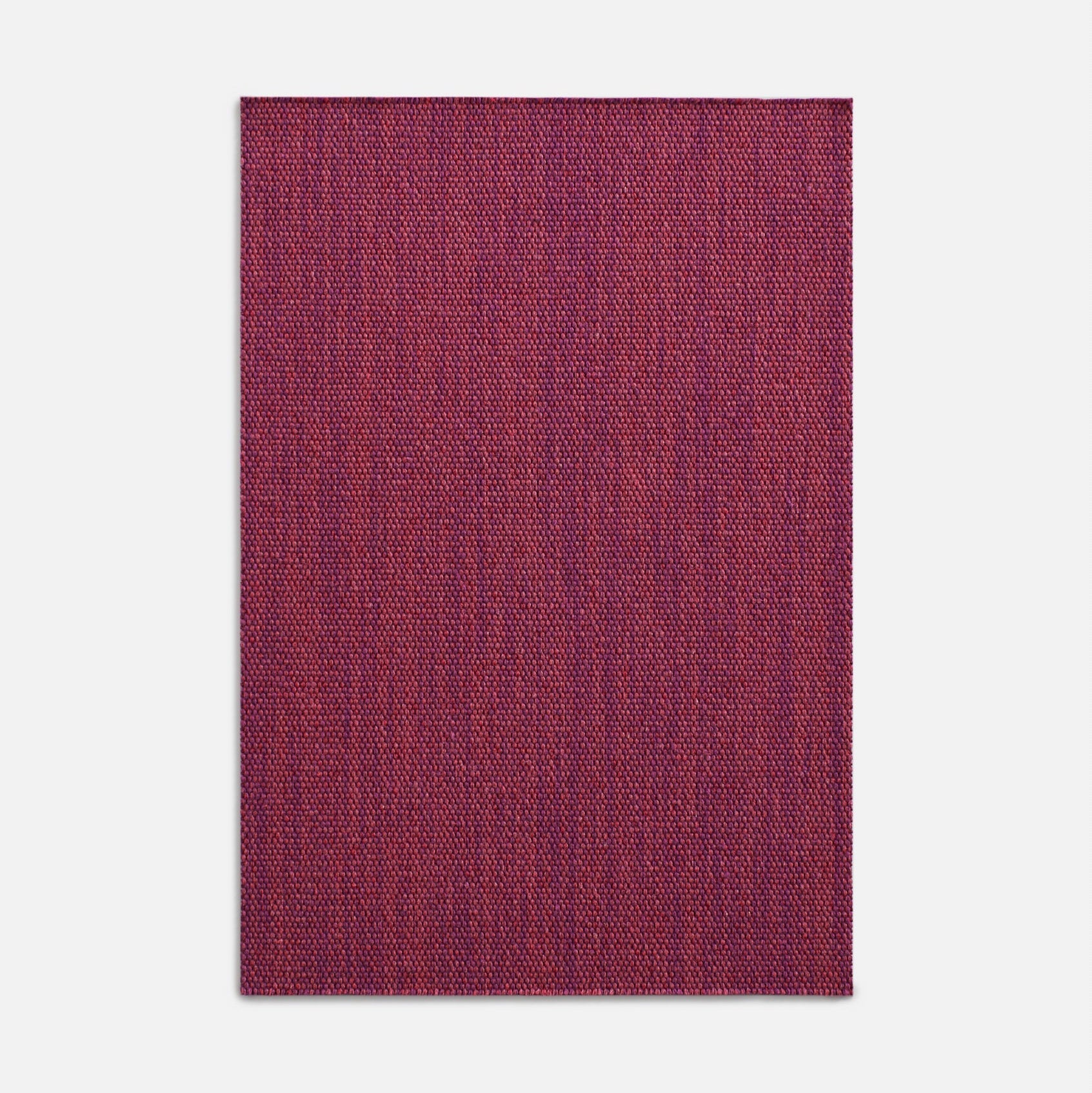 Acacia - Rose Indien