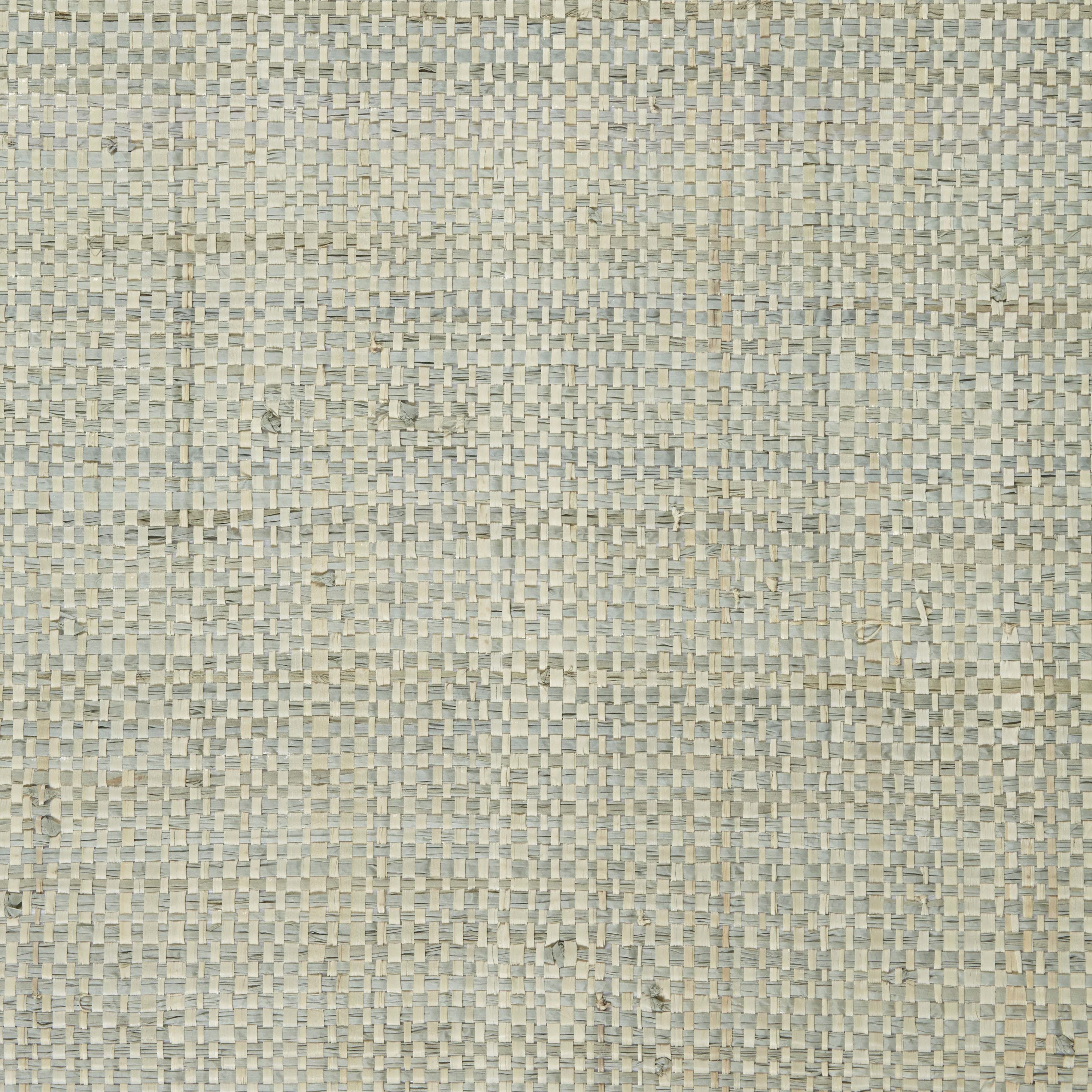 Two-Tone Raffia Scorpio Blue